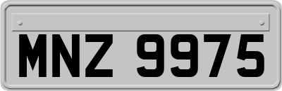 MNZ9975