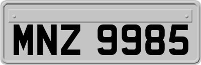 MNZ9985