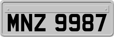 MNZ9987