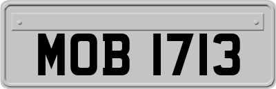 MOB1713