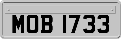 MOB1733