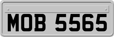 MOB5565
