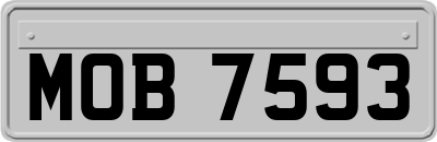 MOB7593