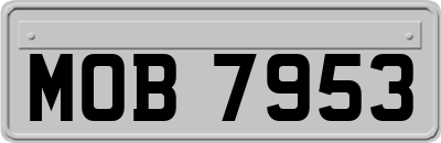 MOB7953