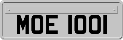 MOE1001