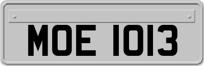 MOE1013