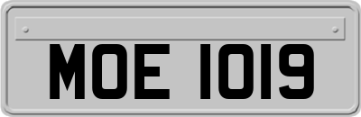 MOE1019