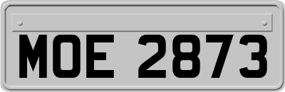 MOE2873