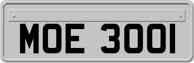 MOE3001