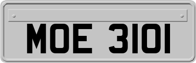 MOE3101