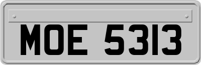MOE5313