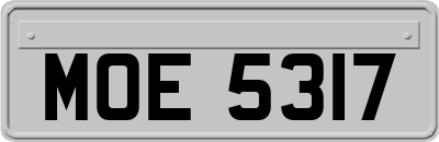 MOE5317