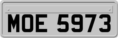 MOE5973