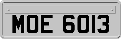 MOE6013