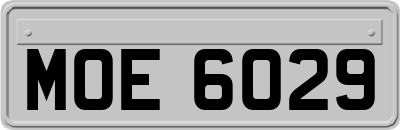 MOE6029