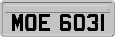 MOE6031