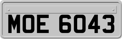 MOE6043