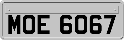 MOE6067