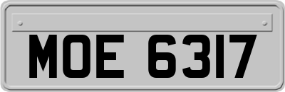 MOE6317