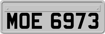 MOE6973