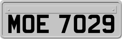 MOE7029