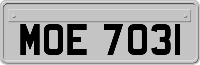 MOE7031