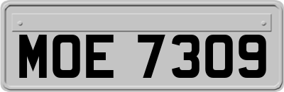 MOE7309