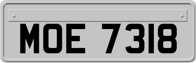 MOE7318