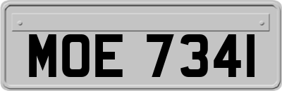 MOE7341