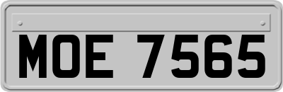 MOE7565