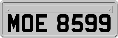 MOE8599