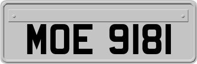 MOE9181