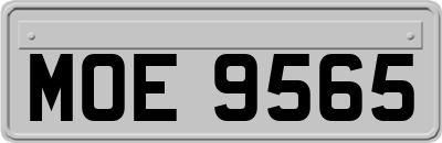 MOE9565