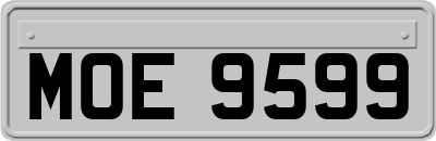 MOE9599