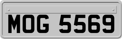 MOG5569