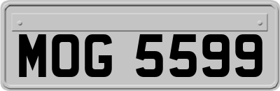 MOG5599