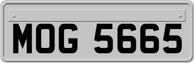 MOG5665