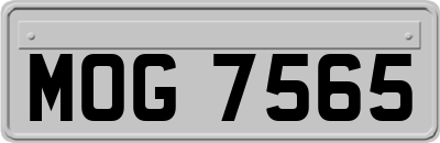 MOG7565