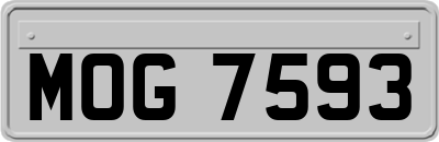 MOG7593