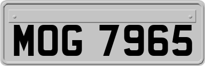MOG7965