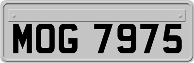 MOG7975