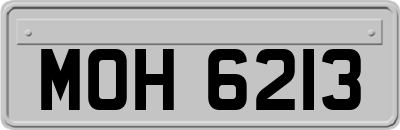 MOH6213