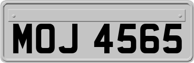 MOJ4565