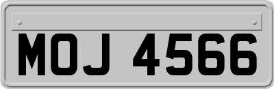 MOJ4566