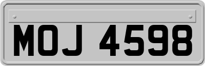 MOJ4598