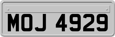 MOJ4929