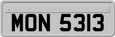 MON5313