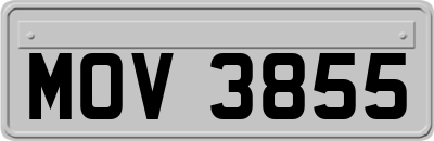 MOV3855
