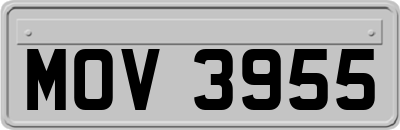 MOV3955