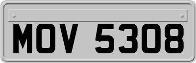 MOV5308
